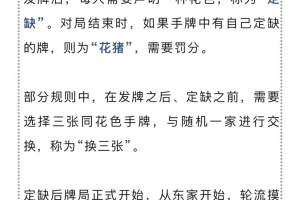 传递经验“雀神麻将有什么开挂方法”万能开挂器通用版