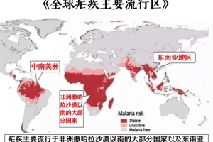 31省增境外输入16例〃31省增4例境外输入!!!
