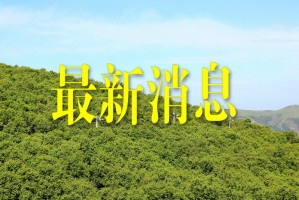“河北昨日新增4例本土确诊” 河北昨日新增确诊病例4例 引发担忧？