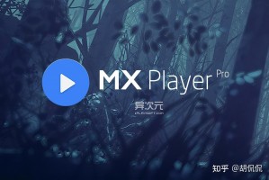 推荐必备“HHPoKer透视挂神器”开挂器软件安装