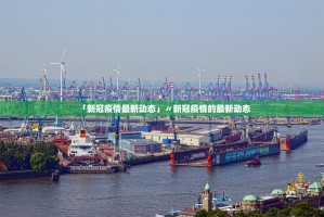 31省份增本土确诊61例涉12省市︰(31省增确诊92例本土73例)