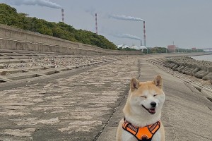 终于呈现“开心十三张哈局开挂”分享装挂技巧步骤