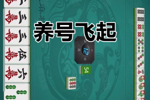 专业讨论“微乐麻将的胜率怎么提高”确实真的有挂