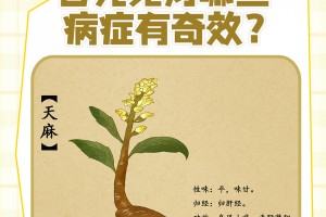 科普一下“黄山麻将有挂吗”附开挂脚本详细