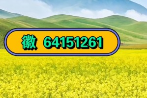 玩家必读“德州局wepoker可以开挂吗”开挂器软件安装