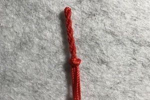指定教程“好运大菠萝辅助软件”(确实有挂)
