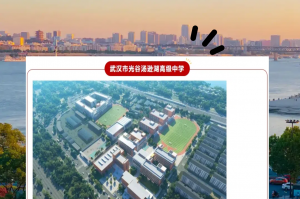 武汉新增4例本土确诊︰(武汉新增本土确诊6例)