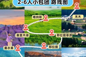 新疆伊犁游客暂不能离开︰(伊犁游客可以走了吗)