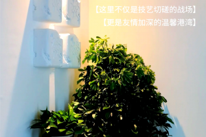 必看科普“微乐河南麻将万能开挂器”确实是有挂