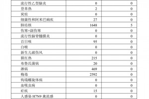 【31省区市新增输入9例/31省区市新增9例确诊病例】
