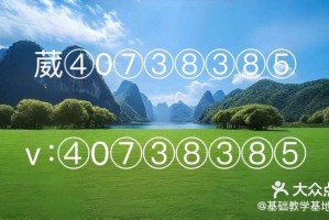 玩家必备攻略“微乐游戏辅助脚本平台”详细分享装挂步骤