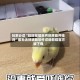 玩家必读“旺旺福建麻将到底能开挂吗”最新透视辅助软件详细教程官方版下载