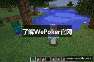 玩家攻略“wepoker私人局是否有挂”万能开挂器通用版