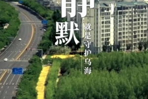 内蒙古疫情最新公布-内蒙古疫情最新公布情况