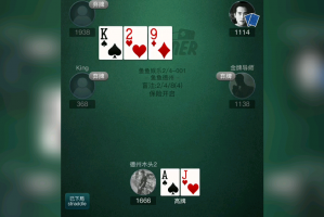 分享科普“德扑之星作弊透视教程”详细开挂玩法