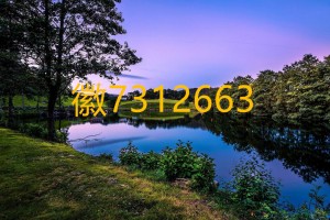 介绍一款“wepoker微扑克软件辅助挂(透视)”助赢开挂器（安装教程）