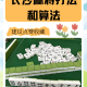 传递经验“开心福建麻将怎么打才赢”开挂神器安装下载