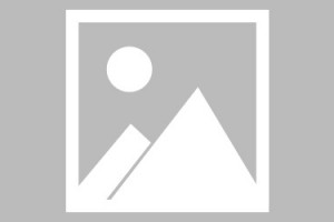 河南已无中高风险地区〃河南中高风险地区清零
