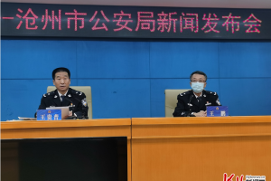 包含沧州新增1例的词条