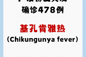广东新增20本土确诊,广东新增本土确诊病例