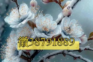传递经验“WePoker透视挂是真的吗”万能开挂器通用版