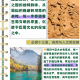 推荐一款“蜀山四川麻将怎样使用开挂”小程序必赢神器（开挂教程）
