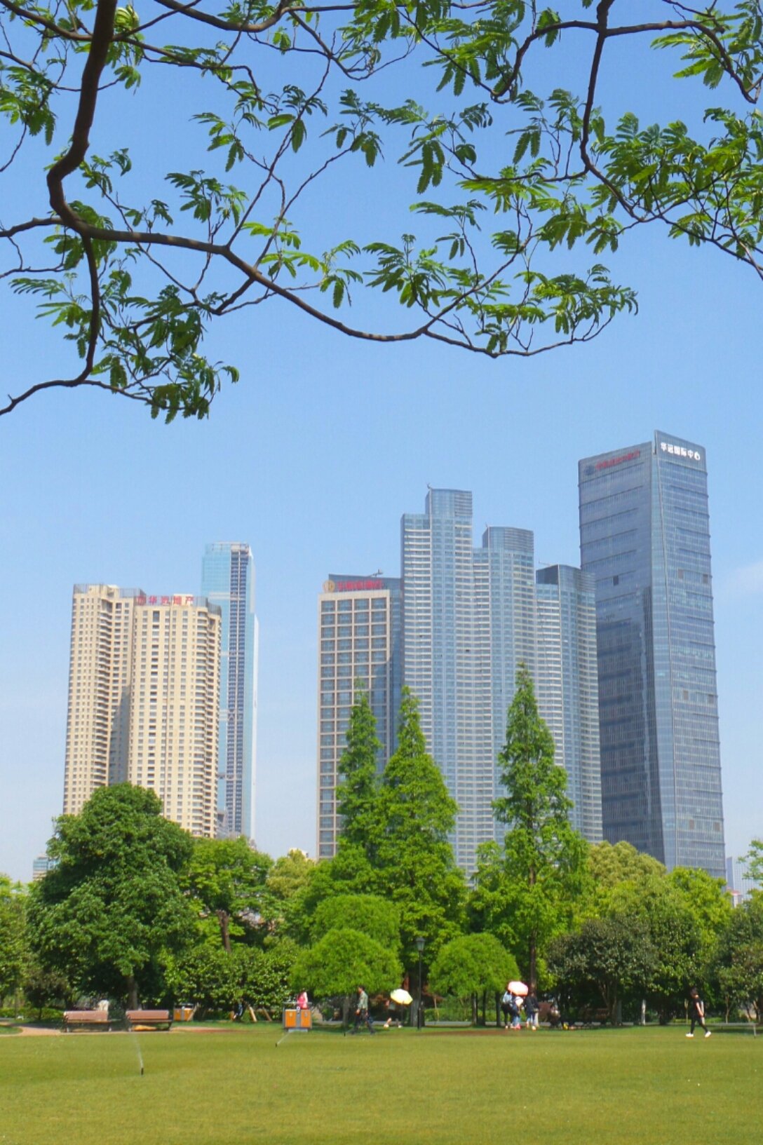 「长沙天心区疫情」〃长沙天心区疫情轨迹-第3张图片
