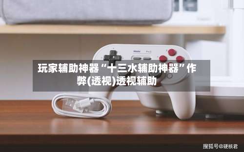 玩家辅助神器“十三水辅助神器	”作弊(透视)透视辅助-第1张图片