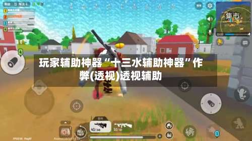 玩家辅助神器“十三水辅助神器	”作弊(透视)透视辅助-第3张图片