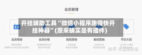 开挂辅助工具“微信小程序跑得快开挂神器”(原来确实是有插件)-第2张图片
