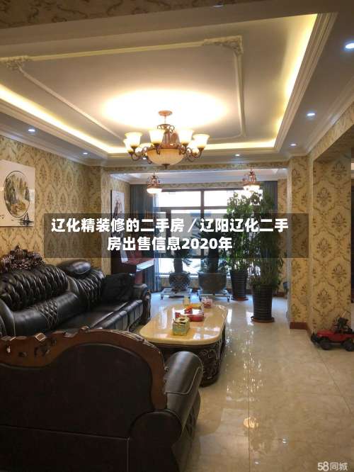 辽化精装修的二手房/辽阳辽化二手房出售信息2020年-第2张图片