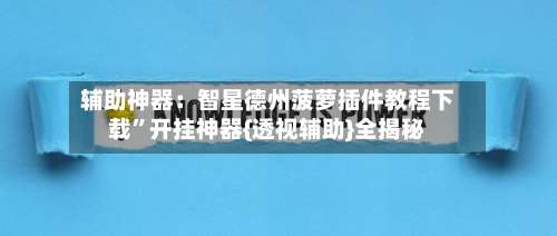 辅助神器：智星德州菠萝插件教程下载”开挂神器{透视辅助}全揭秘-第2张图片