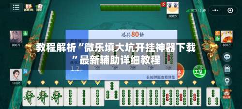 教程解析“微乐填大坑开挂神器下载	”最新辅助详细教程-第1张图片