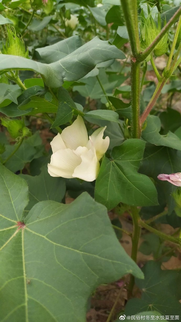 分享热点“德州胜率20%计算公式详解”详细分享开挂-第1张图片