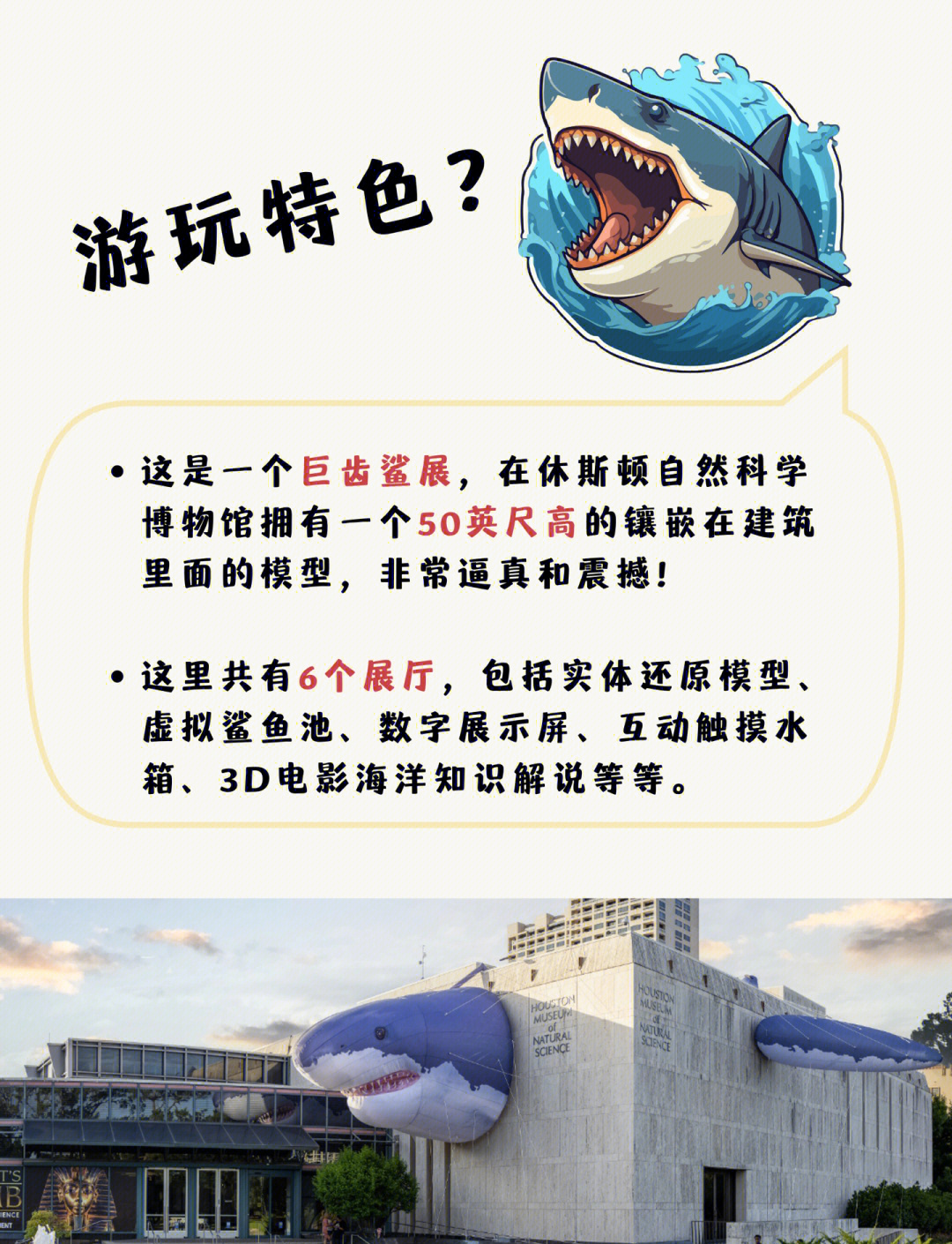 给大家科普一下“鲨鱼互动秦皇岛麻将有挂吗”分享装挂详-第2张图片