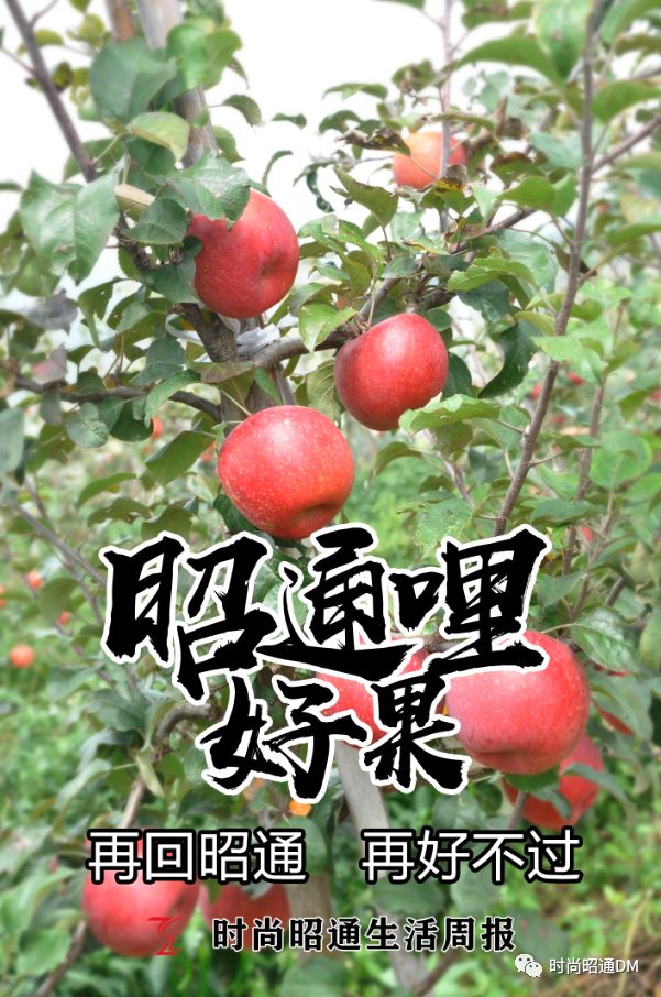 查到实测辅助“镇雄关春天控制牌怎么玩	”实际有挂-第1张图片