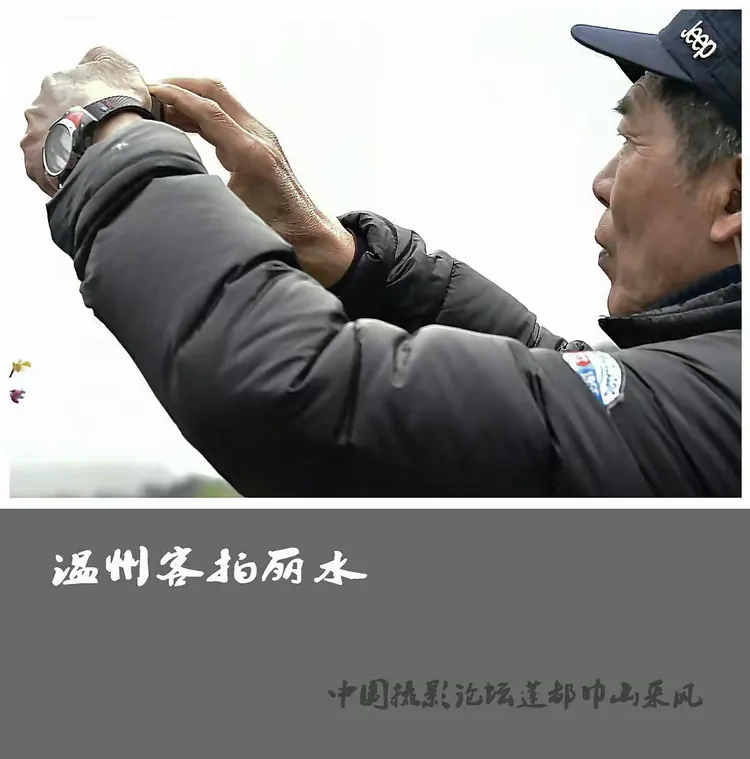 玩家必看教程“丽水都莱有没有挂”真实开挂技巧分享-第1张图片