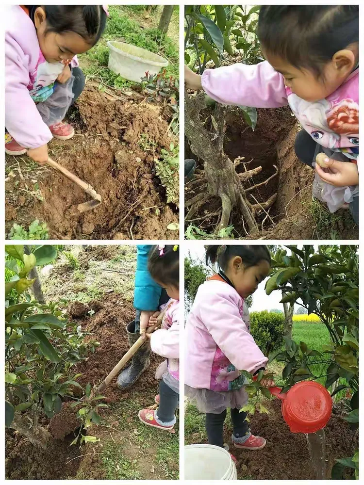 我来教教大家“皮皮跑胡子老输,有挂吗”的确是有挂-第2张图片