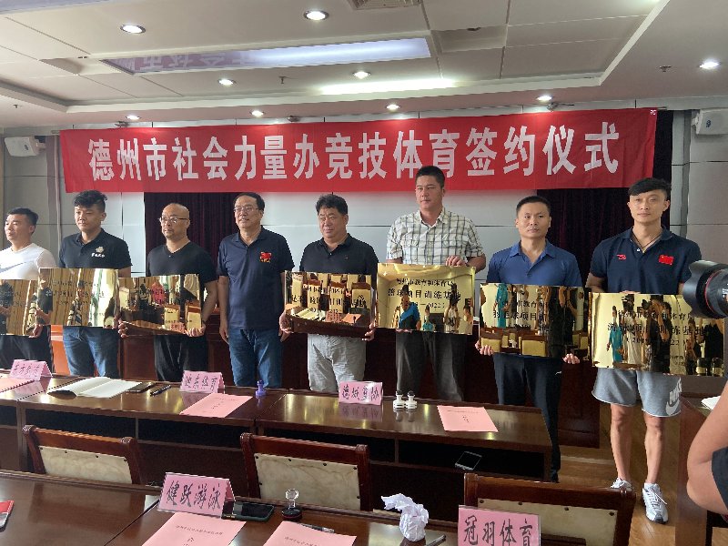 传递经验“竞技联盟德州辅助器	”实际有挂-第2张图片