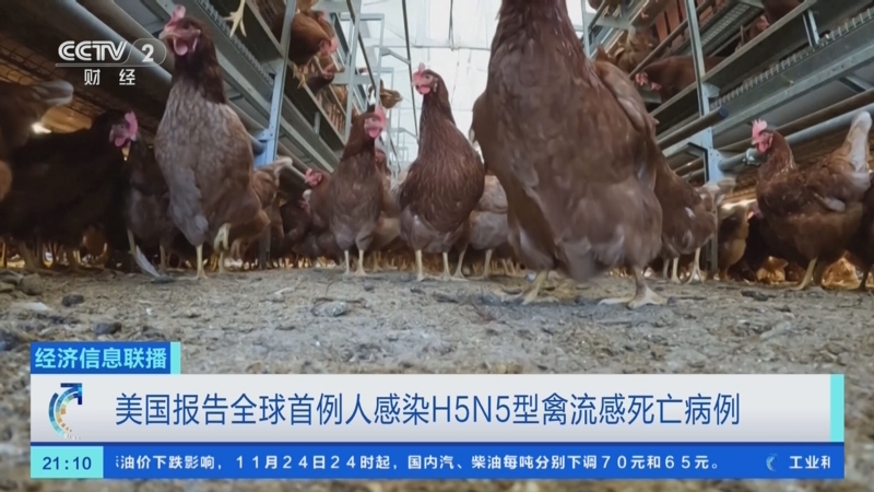 “美国单日新增确诊病例逾2.5万例	” 美国单日新增确诊逾75万例？-第1张图片