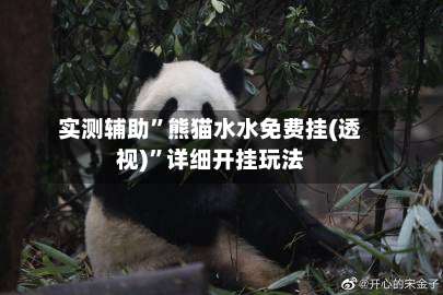 实测辅助”熊猫水水免费挂(透视)		”详细开挂玩法-第1张图片