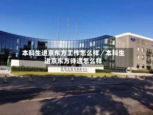 本科生进京东方工作怎么样/本科生进京东方待遇怎么样-第1张图片