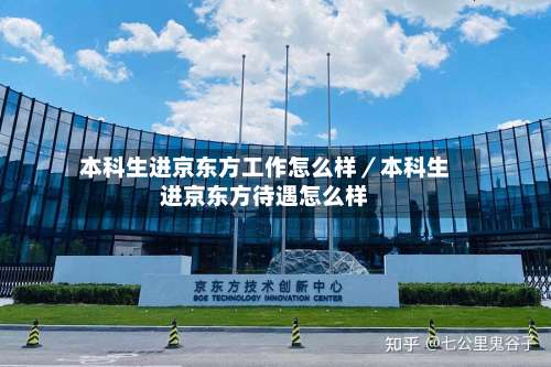 本科生进京东方工作怎么样/本科生进京东方待遇怎么样-第2张图片