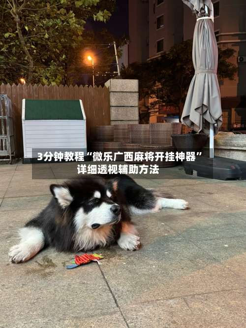 3分钟教程“微乐广西麻将开挂神器”详细透视辅助方法-第2张图片