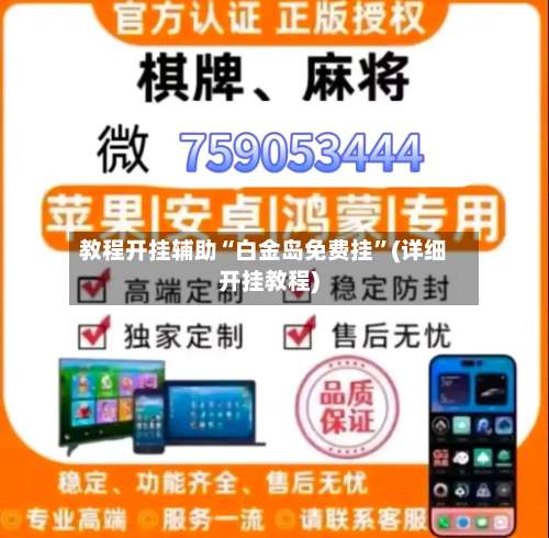 教程开挂辅助“白金岛免费挂”(详细开挂教程)-第1张图片
