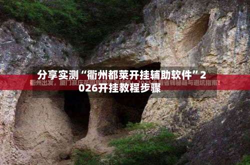 分享实测“衢州都莱开挂辅助软件”2026开挂教程步骤-第1张图片