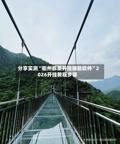 分享实测“衢州都莱开挂辅助软件”2026开挂教程步骤-第3张图片
