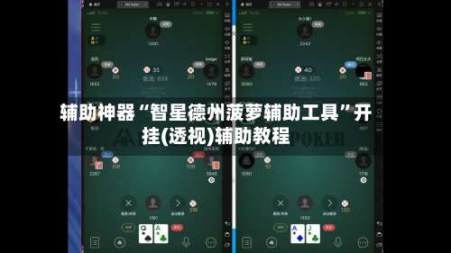 辅助神器“智星德州菠萝辅助工具”开挂(透视)辅助教程-第1张图片