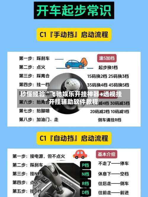秒懂经验“飞驰娱乐开挂神器+透视挂”开挂辅助软件教程-第3张图片