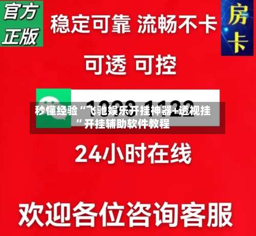 秒懂经验“飞驰娱乐开挂神器+透视挂	”开挂辅助软件教程-第2张图片